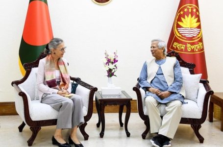 Katharina Wieser, the non-resident ambassador of Austria to Bangladesh, meets Muhammad Yunus in Dhaka - PID photo